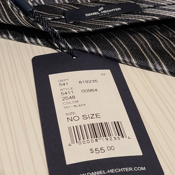 Blue & Silver Strip 100% Silk Tie by Daniel Hector - Picture 3 of 3